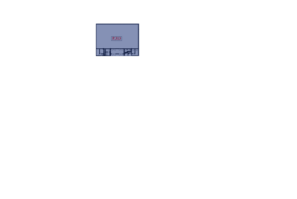 Phòng 313