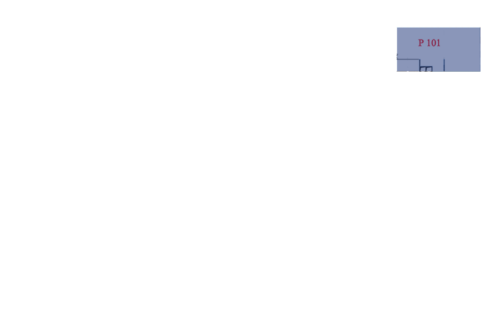 Phòng 101